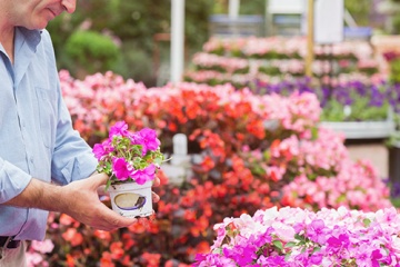 Aanbiedingen Tuincentrum Greensales Friesland